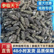 大连半干海参小海参底播辽刺参佛跳墙非即食礼海鲜营养大连海参