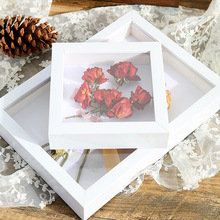 干花保存相框玩偶貝殼520紙巾玫瑰花植物標本展示框立體中空