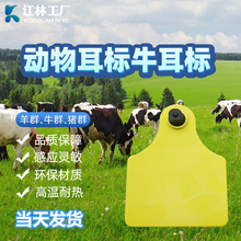 智能芯片 厂家直销 超高频RFID动物电子耳标标签 猪牛羊动物耳标