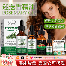ȫӢ���Ե��㾫��rosemary essential oil�o�l��Ħ�o���ЙC����