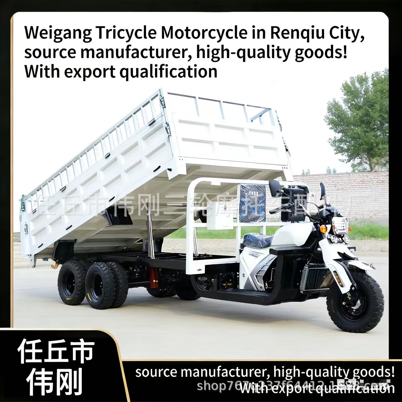 motocicleta de nueve ruedas auto descarga de combustible de carga pesada Wangjia camión agrícola camión de construcción de gasolina triciclo de carga pesada