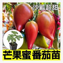 ۹â۷펧ɳȿ}ŮtNͥԺ