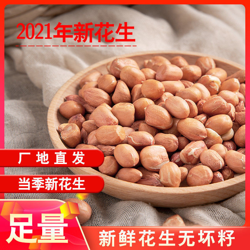 high quality Baisha Peanuts Shelled Sure Farm Hand stripping bulk wholesale