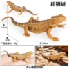 TB-XY07 Bearded Lizard