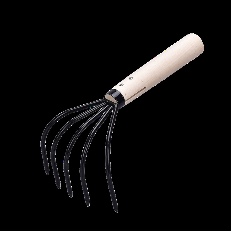 O1CN01kc0fu52LN2BdCJ6Fy_!!3002