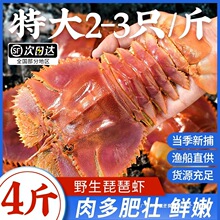 ��ɽ�����r���r���X���r���r�r���ش�|���r���rˮ�a�r��������r