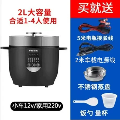 Zhibao 2L Car Home: Digər kiçik elektrik cihazlar - n13b-12v-220v-black-wiring