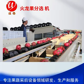 果蔬加工设备;保鲜冷藏设备