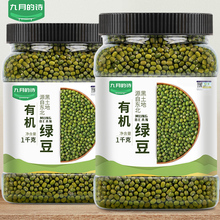 东北绿豆1kg*1罐新鲜可发芽农家新货皮薄杂粮粥