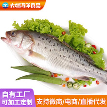 ���r���|�~�r���|�~ʳ���|�~���r���r�~���ǰ��Ʒ���~����