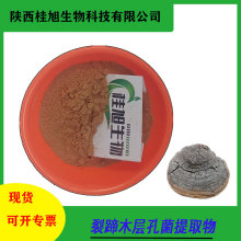 裂蹄木层孔菌提取物10:1 30:1 50:1水溶粉多糖kg装包邮