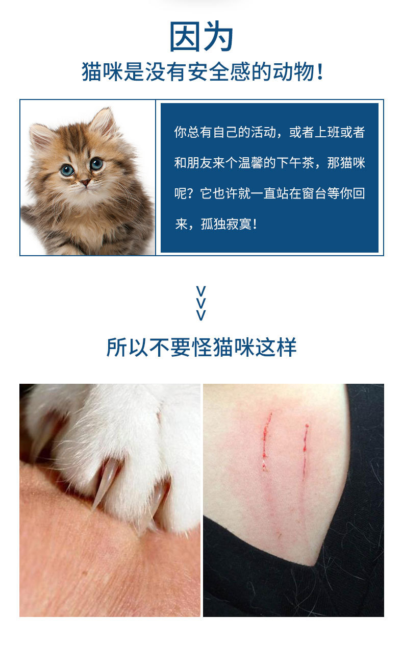 多图投影逗猫手电