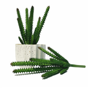 С 辰diyĽMԻˇbGֲɳĮᎧֲ