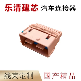 211PL209SR055适用于德尔福汽车线束连接器 车用接插件 线束插头