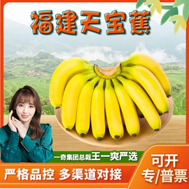 代用/养生茶;苹果;花果茶