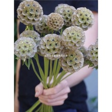 �ǻ�݆��ջ��N�����ļ��̨�L܇��ᘉ|���������ͺ�ͥԺ���ԷN��