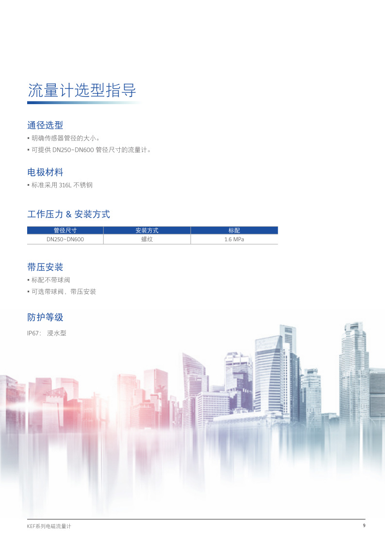 流量计2021年新样本_9