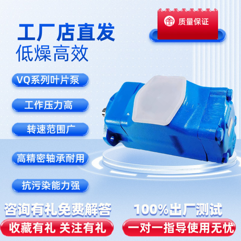 High Quality, Low Price, Guaranteed Quality, Vq Series Low-Noise High-Pressure Quantitative Vane Pump, Hydraulic Oil Pump for Die-Casting Machine and Injection Molding Machine High Quality, Low Price, Guaranteed Quality, Vq Series Low-Noise High-Pressure Quantitative Vane Pump, Hydraulic Oil Pump for Die-Casting Machine and Injection Molding Machine