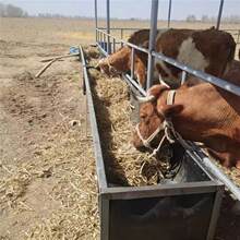 ţ���ϲ�ˮ����۸ɝ�������zˮʳ�ۼӺ����z�M�bʽţ���H�R��