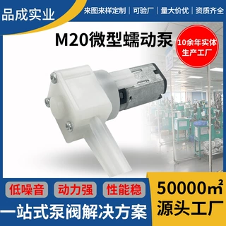工厂定制抽润滑油N20小型蠕动泵水光导入仪按摩梳微型直流蠕动泵