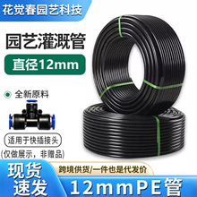 9/12�܈@ˇ�߉�����pe���Ԅӝ�ˮ���F�����܇��^�f���^����ù�