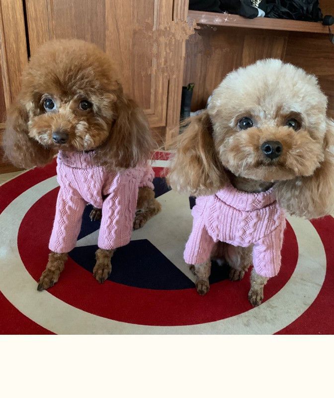 Spring, Autumn, Autumn&Winter Season 1 Piece Spring Autumn Autumn&Winter Simple Style Polyester Solid Color Pet Clothing