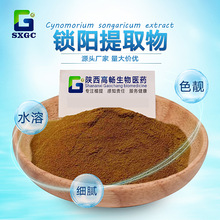 锁阳提取物 不老药萃取粉 地毛球粉 锁阳粉 量大价优