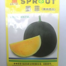 墨菲黄瓤西瓜种子黑皮黄心西瓜种子金皇后西瓜礼品西瓜种子袖珍