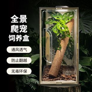 �䗫��B�н޽��،m��B��͸��͸���ռ{������������x���Bֳ��