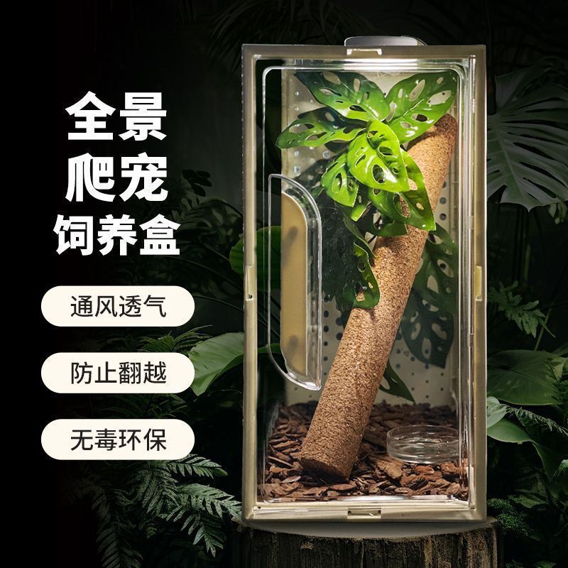 树栖饲养盒睫角守宫饲养箱透明透气收纳箱角蛙蜥蜴爬虫箱养殖箱