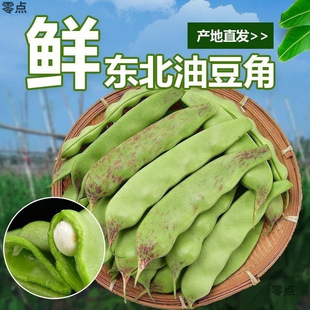 �|���Ͷ������r�����ඹ��һ�c�t�Ͷ����r���ԷN�߲ˏS�Ҵ��l
