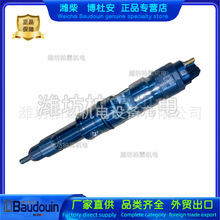 喷油器612630090025潍柴6M21 WP13发动机Baudouin原厂正品