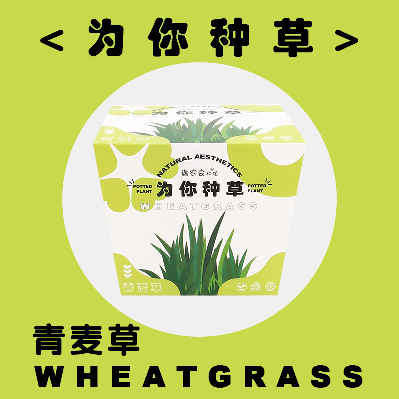 풀을 심는 당신을 위해 (푸른 밀 풀)