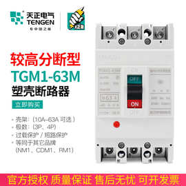 TENGEN浙江天正TGM1-63M/3300 63开关断路器较高短路分断能力50KA