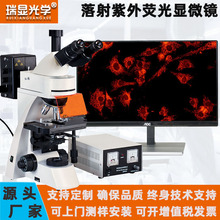 ���@��W�t���@΢�R�y���^��ɹ��@΢�RLED��Դ�������x���F؛