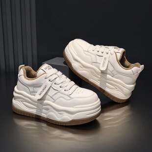 2024�����¿����Q�ڰ���؈����������m�ٴ����e��Ь߅�Q�羳