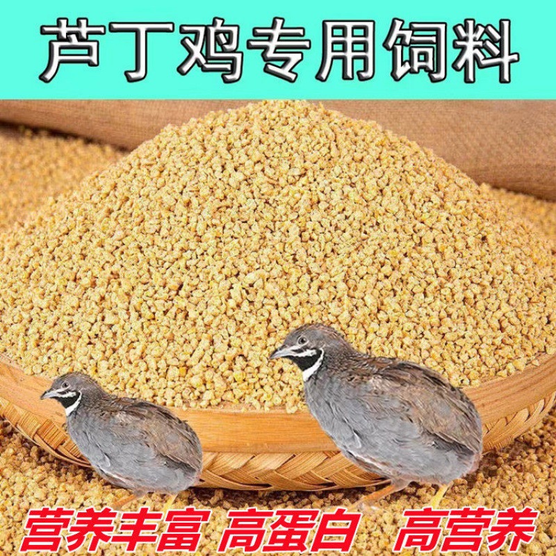 蘆丁雞專用飼料高産蛋蘆丁雞鹌鹑飼料小蘆丁雞飼料蘆丁雞開口料