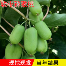 ܛ���J���ҹ����ļ������̨ͥԺ�Ϸ��Nֲ�����J���Ҙ��箔��Y��