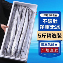 带鱼新鲜整条带鱼无冰净重野生黑眼带鱼批发整箱刀鱼银鱼包装常温