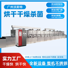 沃斯特奇亚籽微波烘焙设备 油茶籽加热干燥设备 玉米片烘干机