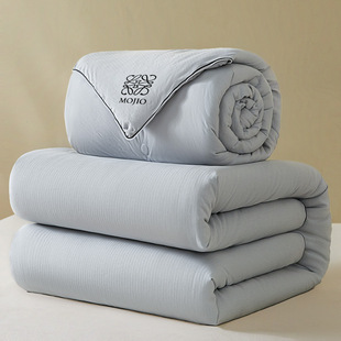 Soybean Quilt Core Two-In-One Zipper Quilt Winter Thickeneded Warm Quilt Spring & Fall Quilt Soft Touch