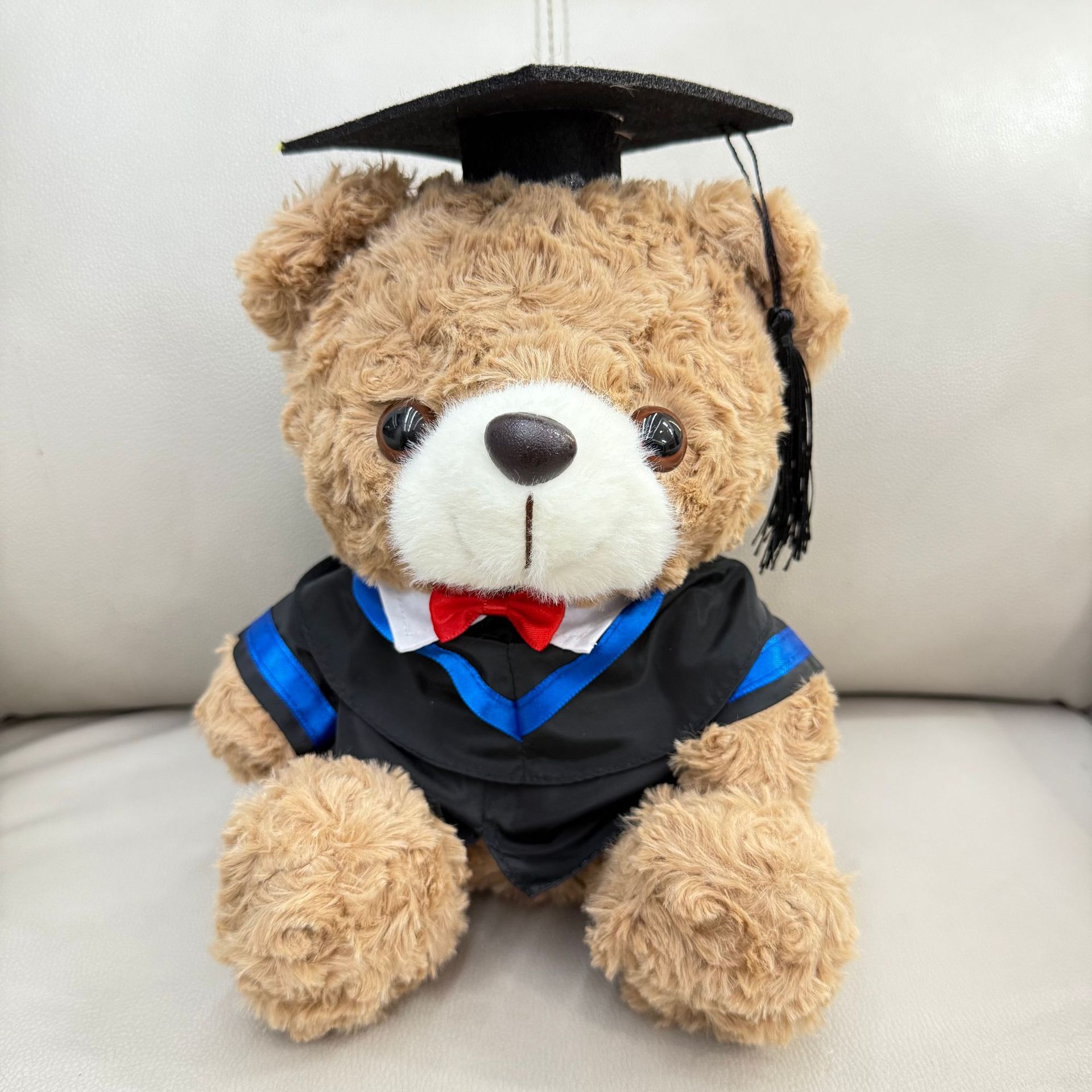 Graduación Teddy Bear Puppy Doctor Teddy Bear School Print logotipo regalo de graduación