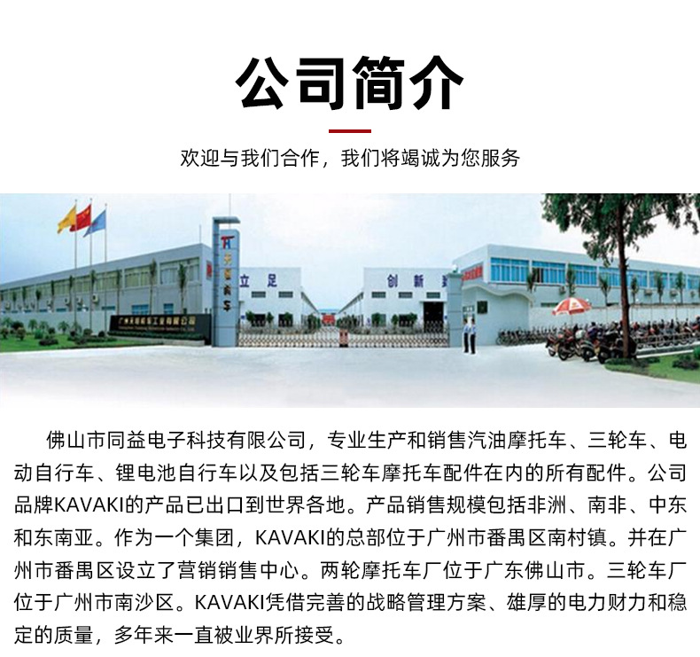 Manufacturer Supplies High-Speed Two-Wheeled Electric Vehicles, Electric Motorcycles, Long-Distance Delivery Motorcycles, Mountain Climbing Motorcycles