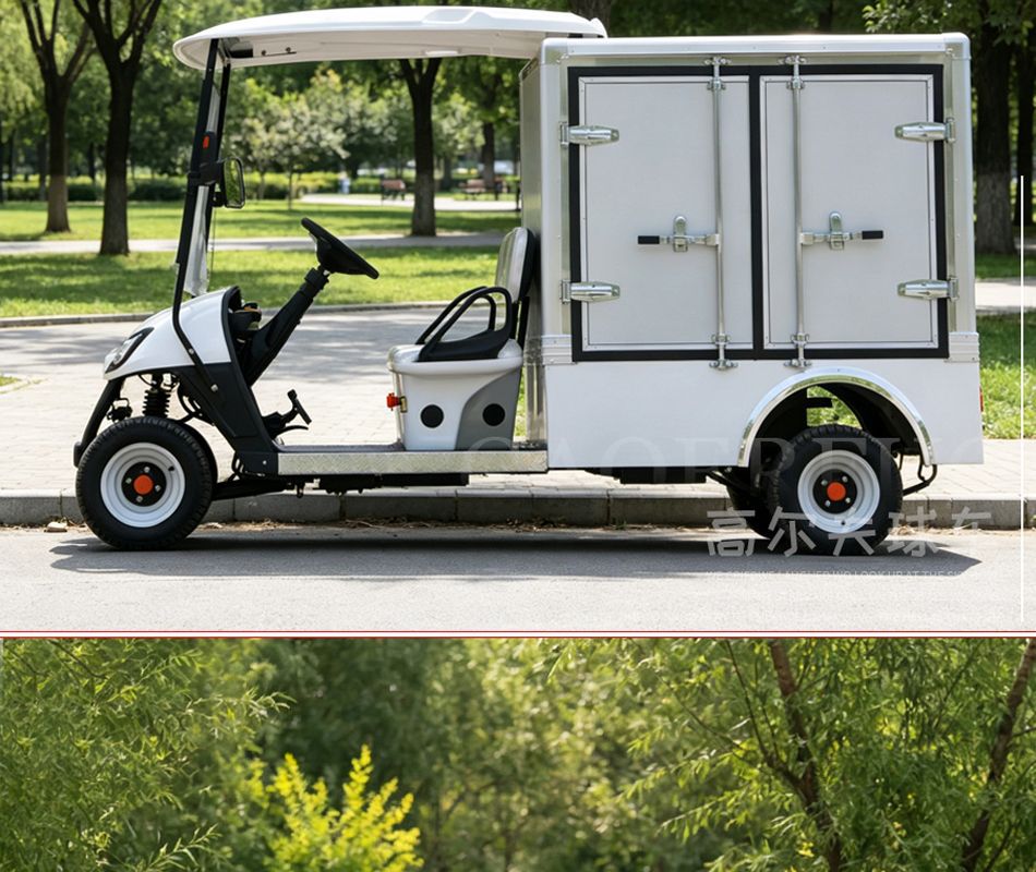 Electric Cargo Vans, Golf Carts, Factory Warehouses, Canteen Delivery Vehicles, Foreign Trade Export Golf Box Vehicles