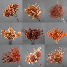 ��ɫϵ��c������ɫ��ɫ��Y��ܛ�b���ý������⻨�Ĳ廨�~������