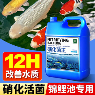 ���������~��ˮ�|�������Ä����������~���~�����_���Bˮ�~�׾S�o