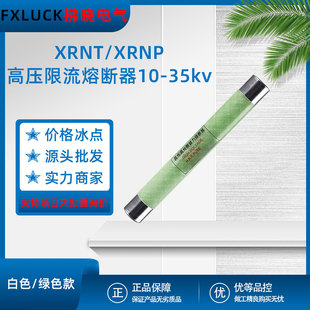 XRNP/T-10KV-0.5A Indoor High Voltage Current Limiting Fuse Transformer Transformer High Breaking Capacity SLAJ