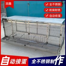 ���w���P��u�\�Ԅ��յ�������S�����u���Bֳ�u�\�u���\���ü���