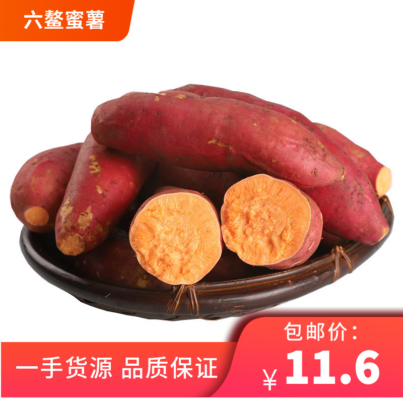 福建漳州六鳌蜜薯沙地红薯新鲜现挖产地蜜薯一件代发