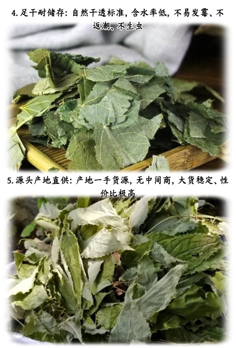 Epimedium Leaf Yin Yang Huo 500g Dried Herba Epimedii for Tea and Wine Infusion specifications